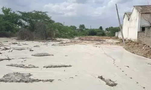 தோல் தொழிற்சாலையின் மின் இணைப்பு துண்டிப்பு