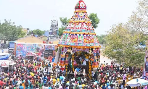 பகவதி மலையம்மன் கோவில் தேரோட்டம்