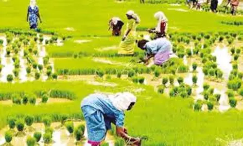 அனைத்து கிராம ஒருங்கிணைந்த வேளாண் வளர்ச்சி திட்டத்தில் விவசாயிகளுக்கு மானியம்