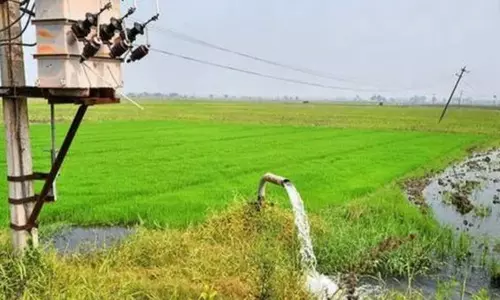 5,000 விவசாய மின் இணைப்புகளை மாற்றியமைக்க தமிழக அரசு அரசாணை..!