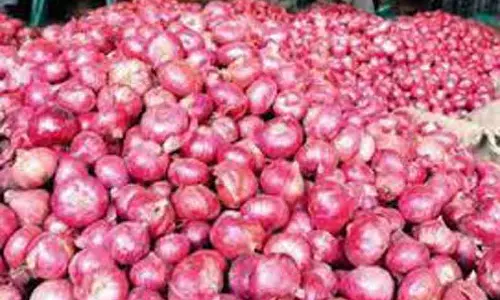 குறைந்த விலைக்கு கேட்கப்பட்டதால் நாசிக் சந்தைகளில் வெங்காய ஏலம் மீண்டும் நிறுத்தம்