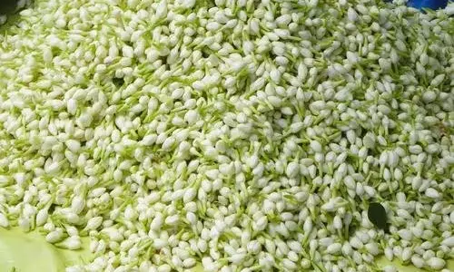 வரலட்சுமி நோன்பு, ஓணம் பண்டிகையையொட்டிபூக்கள் விலை மீண்டும் உயர்வு:மல்லிகை கிலோ ரூ.700-க்கு விற்பனை