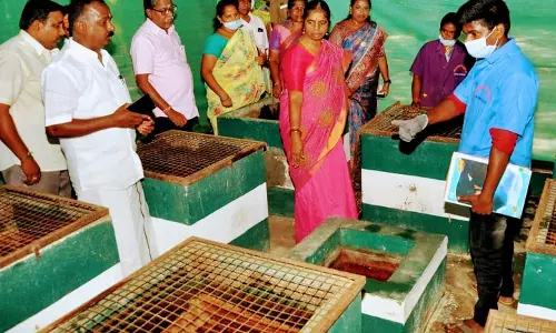 ரூ.74½ லட்சத்தில் வளர்ச்சி திட்ட பணிகள்