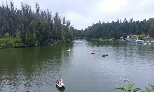 ஊட்டி படகு இல்ல ஏரி ரூ.10 கோடியில் தூர்வாரப்படும்-அதிகாரி தகவல் ஊட்டி படகு இல்ல ஏரி ரூ.10 கோடியில் தூர்வாரப்படும்-அதிகாரி தகவல்