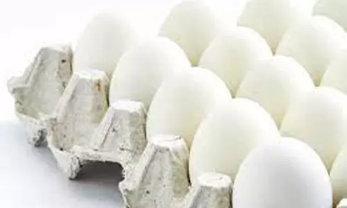 நாமக்கல் மண்டலத்தில் முட்டை விலை 10 காசுகள் குறைவு