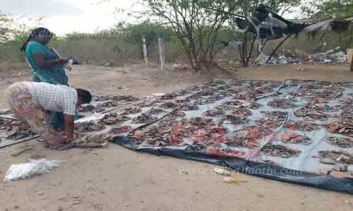 ஆவணப்படுத்தும் பணி