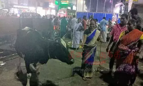 பொதுமக்களுக்கு இடையூறாக சாலையில் சுற்றி திரியும் மாடுகளின் உரிமையாளர்களுக்கு அபராதம் பொதுமக்களுக்கு இடையூறாக சாலையில் சுற்றி திரியும் மாடுகளின் உரிமையாளர்களுக்கு அபராதம்