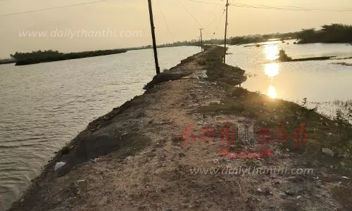 கிட்டியணை உப்பனாற்றின் கரையை பலப்படுத்த வேண்டும்