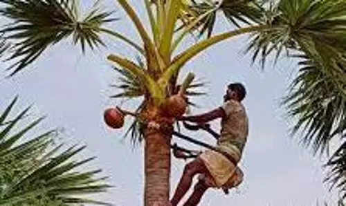 தடையை மீறி கள் இறக்கும் போராட்டம்