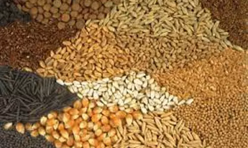 6¾ டன் விதைகள் விற்பனைக்கு தடை