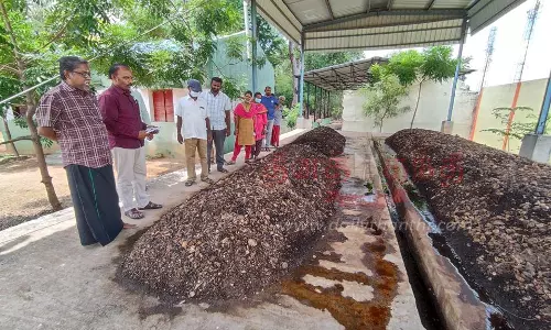 மண்புழு உரம் தயாரிக்கும் பணியை உதவி இயக்குனர் ஆய்வு