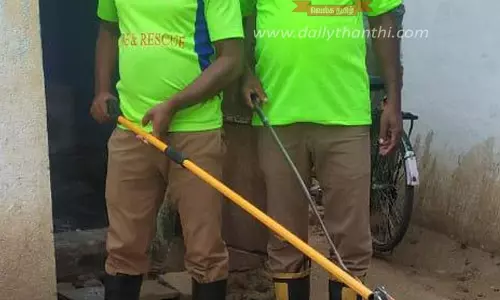 நாட்டறம்பள்ளியில் கழிவறைக்குள் இருந்த நல்ல பாம்பு பிடிபட்டது