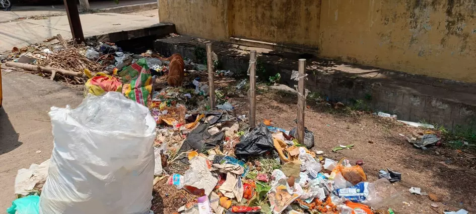 குப்பைகளால் சுகாதார சீர்கேடு குப்பைகளால் சுகாதார சீர்கேடு