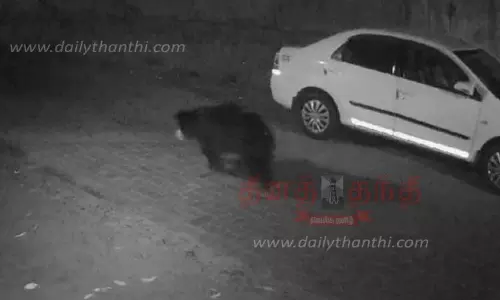 கரடியை கூண்டு வைத்து பிடிக்க வேண்டும்