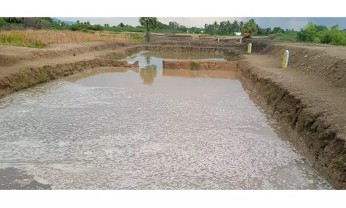 பலத்த மழை காரணமாக நிரம்பும் பண்ணை குட்டைகள்