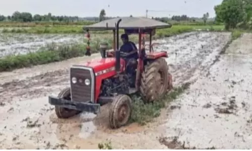 விதை நெல் தட்டுப்பாடின்றி கிடைக்க நடவடிக்கை எடுக்கப்படுமா?
