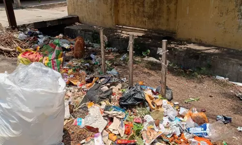 குப்பைகளால் சுகாதார சீர்கேடு குப்பைகளால் சுகாதார சீர்கேடு