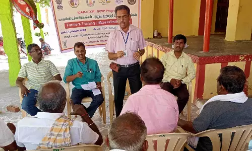 சேனைக்கிழங்கு சாகுபடி குறித்து விவசாயிகளுக்கு பயிற்சி