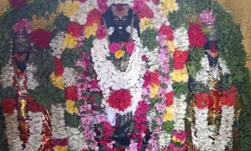 சீனிவாச பெருமாள் கோவிலில் சிறப்பு பூஜை