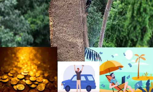 தேன் எடுக்க சென்ற இடத்தில் கிடைத்த தங்க நாணயம் புதையல்: பங்கு கிடைக்காதவர் போலீசில் போட்டுக் கொடுத்ததால் மாட்டிக்கொண்ட ஆசாமிகள்...!