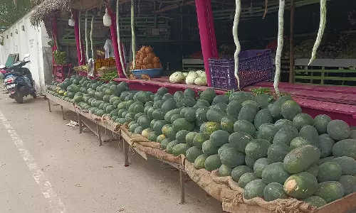 விற்பனைக்காக குவித்து வைக்கப்பட்டுள்ள தர்பூசணி