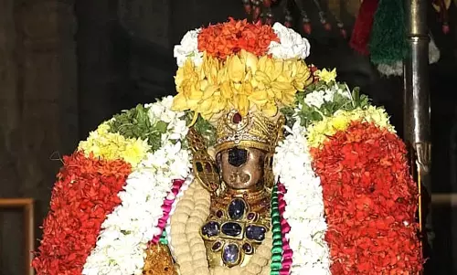 ஸ்ரீரங்கம் ரெங்கநாதர் கோவிலில்  பூச்சாண்டி சேவை