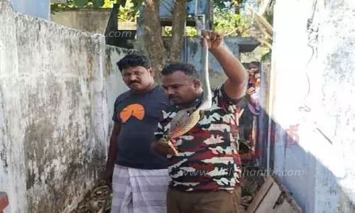 வீட்டில் புகுந்த நல்ல பாம்பு பிடிபட்டது