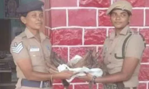 ரெயிலில் அடிபட்டு மயில் சாவு