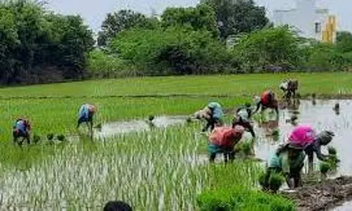 மூலங்குடியில் வேளாண் தொழில்நுட்ப பயிற்சி மூலங்குடியில் வேளாண் தொழில்நுட்ப பயிற்சி