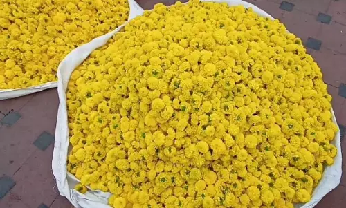 விலை சரிவால் மணக்காத பூ மார்க்கெட்