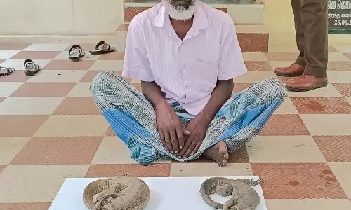 உடும்பு வேட்டையாடிய முதியவர் கைது