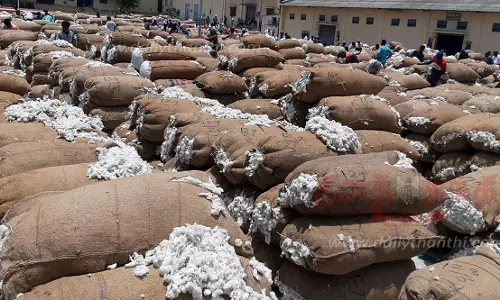 4 ஆயிரத்து 414 மூட்டைகள் பருத்தி ஏலம்