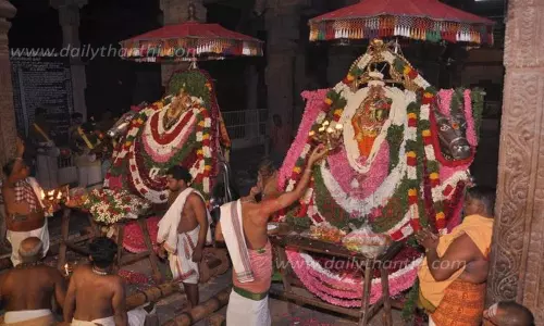 நெல்லையப்பர் கோவிலில் பவுத்திர உற்சவ விழா