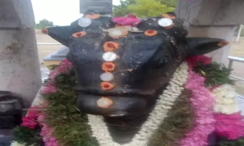 கட்டாரிமங்கலம் கோவிலில் பிரதோஷ விழா