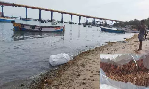 கரை ஒதுங்கிய பீடி இலை மூடை மூலம் துப்பு துலங்கியதா?