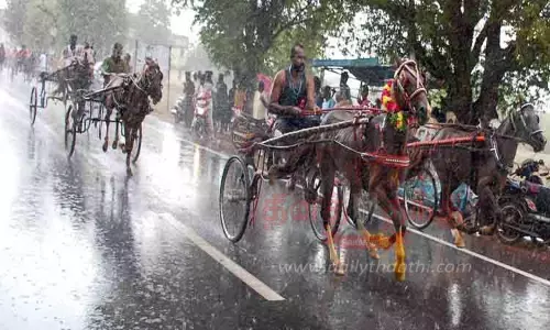 காளையார்கோவில் அருகே கொட்டும் மழையில்  குதிரை வண்டி பந்தயம்