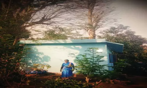 மழவன்சேரம்பாடியில்  ஆபத்தான மரங்களை வெட்டி அகற்ற வேண்டும்