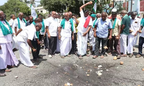 தேங்காய்களை உடைத்து விவசாயிகள்  போராட்டம்