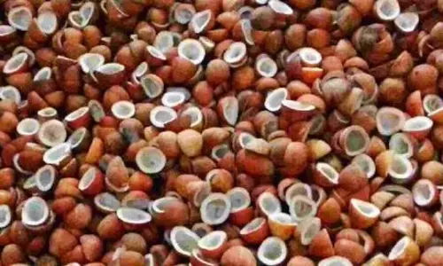 ரூ.1½ லட்சத்திற்கு கொப்பரை ஏலம்