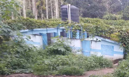 அய்யன்கொல்லியில்  புதர்சூழ்ந்த கழிப்பறை பராமரிக்கப்படுமா?பொதுமக்கள் எதிர்பார்ப்பு