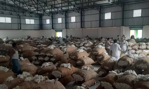 ரூ.13 லட்சத்துக்கு பருத்தி ஏலம்