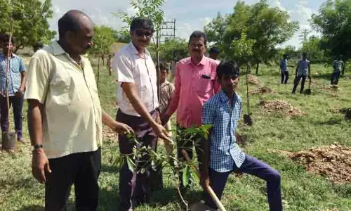 அரசு பள்ளியில் மரக்கன்றுகள் நடும் விழா
