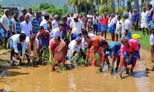 சாலையை சீரமைக்க கோரி நாற்று நட்டு பொதுமக்கள் போராட்டம்-கெங்கவல்லி அருகே பரபரப்பு
