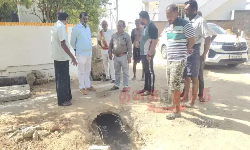 நெல்லை கண்டியபேரியில் துணை மேயர் ஆய்வு