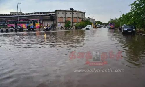 நெல்லை மாவட்டத்தில் பரவலாக மழை நெல்லை மாவட்டத்தில் பரவலாக மழை