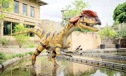 அபூர்வ உயிரினங்கள் `வாழும் செஸ்டர் உயிரியல் பூங்கா..!