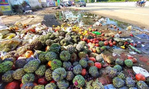 சாலையோரம் கொட்டப்படும் பழங்களால் சுகாதார சீர்கேடு