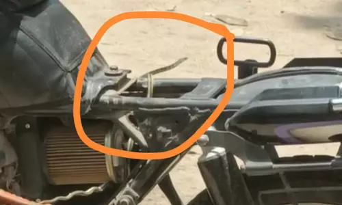 மோட்டார் சைக்கிளில் புகுந்த பாம்பு