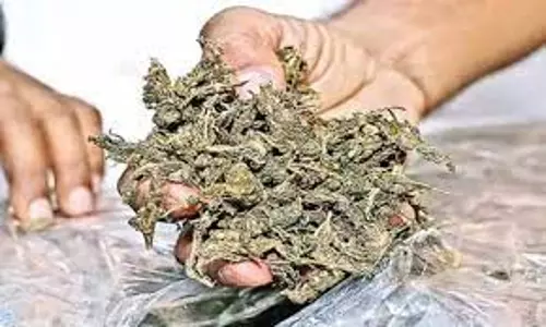 அந்தியூரில்கஞ்சா விற்றவர் கைது