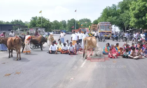 சாலை அமைக்ககோரி பொதுமக்கள் கால்நடைகளுடன் மறியல் சாலை அமைக்ககோரி பொதுமக்கள் கால்நடைகளுடன் மறியல்